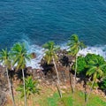 Beach tropical ocean with coral, palm trees and lagoon. Top view Royalty Free Stock Photo