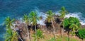 Beach tropical ocean with coral, palm trees and lagoon. Top view Royalty Free Stock Photo