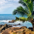 Beach tropical ocean with palm trees and lagoon