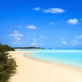 Beach and tropical sea