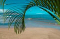Beach and tropical sea. Colorful ocean beach. landscape of clear turquoise water, Maldives or Hawaii. Green leaves of