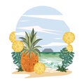 Beach and tropical summer cartoons scenery