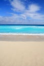 Beach tropical vertical Caribbean turquoise sea Royalty Free Stock Photo