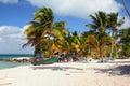 Beach in tropics. Isla Saona, La Romana, Dominicana Royalty Free Stock Photo