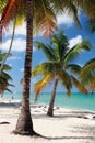 Beach in tropics. Isla Saona, La Romana, Dominicana Royalty Free Stock Photo