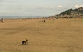 Beach of Trouville-sur- Mer, France. The region is Basse-Normandie in the Calvados department Royalty Free Stock Photo