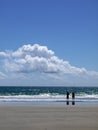 Beach: two men friends fishing