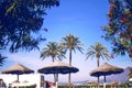 The Beach with beach umbrella and palms. Vintage Filter. ÃÂ¡ear summer skies. Fashion, travel, summer, Royalty Free Stock Photo