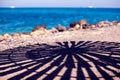 Beach umbrellas and its shadow on the sand. Summer and vacation concept