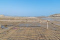 The beach under the blue sky, the laver and oyster farms are on the beach