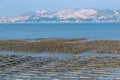 The beach under the blue sky, the laver and oyster farms are on the beach