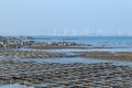 The beach under the blue sky, the laver and oyster farms are on the beach