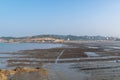 The beach under the blue sky, the laver and oyster farms are on the beach