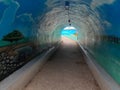 Beach underpass road Royalty Free Stock Photo