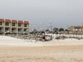 Beach vacation birds saint Augustine florida cloudy stormy