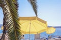 Beach vacation concepts. Beach umbrellas near palm tree on sunny day. Montenegro, Kotor Bay Royalty Free Stock Photo