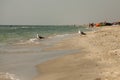 Beach in Vadu