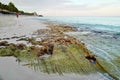 The beach of Varadero in Cuba Royalty Free Stock Photo