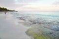 The beach of Varadero in Cuba