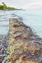 The beach of Varadero in Cuba Royalty Free Stock Photo