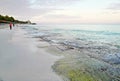 The beach of Varadero in Cuba Royalty Free Stock Photo