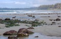 Beach view in Florencia bay Royalty Free Stock Photo