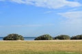 Beach view