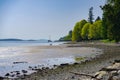 Beach view of Salt Spring Island in British Columbia, Canada