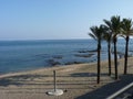 Beach views in Spain with palm trees
