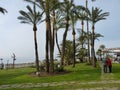 Beach views in Spain with palm trees