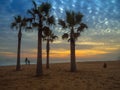 Beach at Vina del Mar