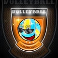 Beach volleyball ball chracter with sunglasses in center of shield. Sport logo for any team