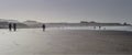 Beach Walking at Bamburgh in Northumberland England