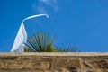 Beach wall with looking palm trees and a waving flag in front o Royalty Free Stock Photo