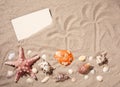 Beach wallpaper sand and shells. Summer background with starfish. Holiday card with copy space Royalty Free Stock Photo