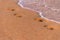 beach, wave and footprints at sunset. Footprint in the sand on a sandy beach washed by the sea