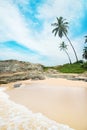 Beach with waves against rock and palm trees in sunny day