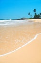 Beach with waves against rock and palm trees in sunny day Royalty Free Stock Photo