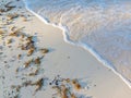 beach waves on white sand and sea plants that are dragged to the shoreline Royalty Free Stock Photo