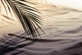 Beach with wavy white sand, palm leaf with shadow in golden sunset light with deep blue shadow, copy space. Sunny warm dusk beach