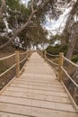 Beach way to Salinas beach in Ibiza