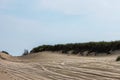 Beach where vehicles have driven to road over horizon with beach grass - Room for text -big sky Royalty Free Stock Photo