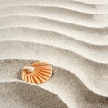 Beach white sand pearl shell macro Royalty Free Stock Photo