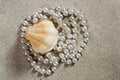 Beach white sand pearl shell macro Royalty Free Stock Photo