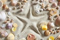 Beach white sand starfish print many shells Royalty Free Stock Photo