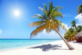 Beach with white sand, sun and quiet ocean. Tropical banner Royalty Free Stock Photo