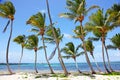 Beach with white sand, sun and quiet ocean. Tropical banner Royalty Free Stock Photo