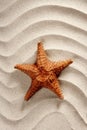 Beach white wavy sand starfish summer vacation