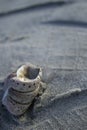 Beach in winter