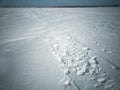 Beach in winter in Siberia. Snow and ice on the sea to the shore